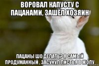 воровал капусту с пацанами, зашёл хозяин пацаны шо делать? я самый продуманный , засунул листья в жопу