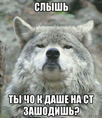 слышь ты чо к даше на ст зашодишь?