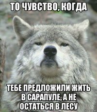 то чувство, когда тебе предложили жить в сарапуле, а не остаться в лесу