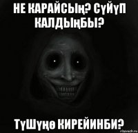 не карайсың? сүйүп калдыңбы? түшүңө кирейинби?