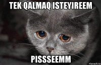 tek qalmaq isteyireem pissseemm