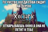 то чуство когда сова сидит на дереве откарываешь окно а она не летит к тебе