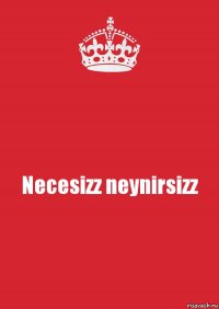 Necesizz neynirsizz