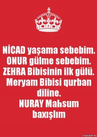 NİCAD yaşama sebebim.
ONUR gülme sebebim.
ZEHRA Bibisinin ilk gülü.
Meryam Bibisi qurban diline.
NURAY Mahsum baxışlım