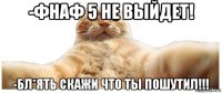 -фнаф 5 не выйдет! -бл*ять скажи что ты пошутил!!!