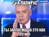 с**а папирус ты заплатиш за это как путин!