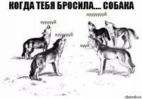 Когда тебя бросила.... Собака