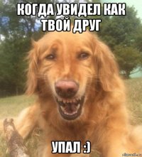 когда увидел как твой друг упал :)