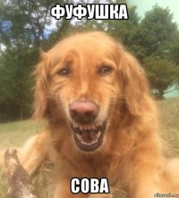 фуфушка сова