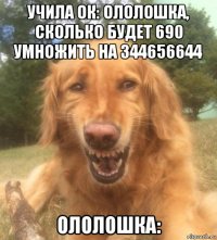 учила ок: ололошка, сколько будет 690 умножить на 344656644 ололошка: