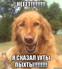 нееет!!!!!!!!! я сказал ухты пыхты!!!!!!!!