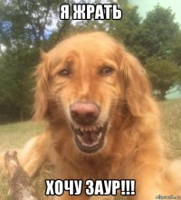 я жрать хочу заур!!!