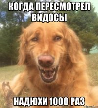 когда пересмотрел видосы надюхи 1000 раз