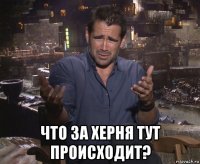  что за херня тут происходит?