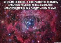 мечта моей жизни - в совершенстве овладеть арабским языком, познакомиться с арабской девушкой и создать с ней семью. 