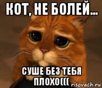 кот, не болей... суше без тебя плохо(((