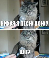 нихуя я песю пою? шо?