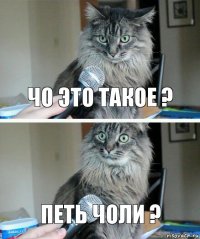 Чо это такое ? Петь чоли ?