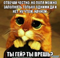 отвечай честно. но поля можно заполнять только одними да и нет. ну чтож, начнем. ты гей? ты врешь?