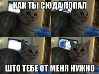 как ты сюда попал што тебе от меня нужно