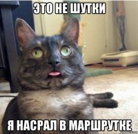 это не шутки я насрал в маршрутке