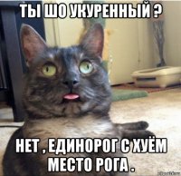 ты шо укуренный ? нет , единорог с хуём место рога .