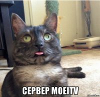  сервер моеitv