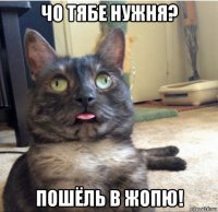 чо тябе нужня? пошёль в жопю!