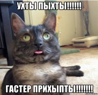 ухты пыхты!!!!!! гастер прихыпты!!!!!!!