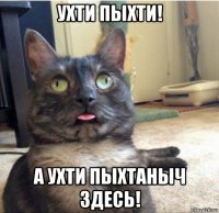 ухти пыхти! а ухти пыхтаныч здесь!