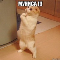 муниса !!! 