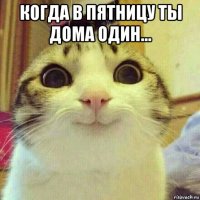 когда в пятницу ты дома один... 