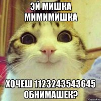 эй мишка мимимишка хочеш 1123243543645 обнимашек?