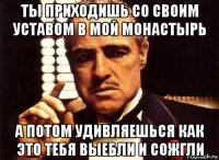 ты приходишь со своим уставом в мой монастырь а потом удивляешься как это тебя выебли и сожгли