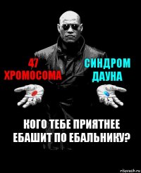 47 Хромосома Синдром дауна Кого тебе приятнее ебашит по ебальнику?