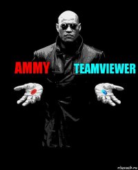 Ammy TeamViewer 