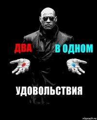 ДВА В ОДНОМ УДОВОЛЬСТВИЯ