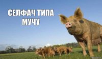 Селфач типа мучу