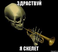 здраствуй я скелет