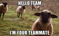 hello team i'm your teammate