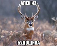 ален из будощива