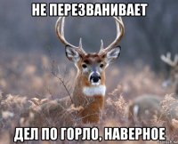 не перезванивает дел по горло, наверное