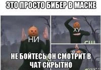 это просто бибер в маске не бойтесь он смотрит в чат скрытно