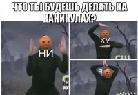 что ты будешь делать на каникулах? 