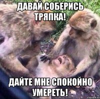 давай соберись тряпка! дайте мне спокойно умереть!