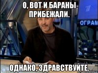 о, вот и бараны прибежали. однако, здравствуйте.