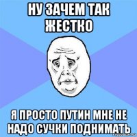 ну зачем так жестко я просто путин мне не надо сучки поднимать