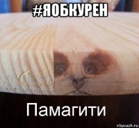 #яобкурен 