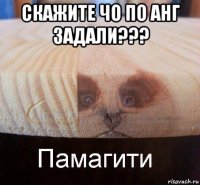 скажите чо по анг задали??? 