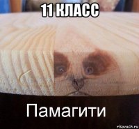 11 класс 